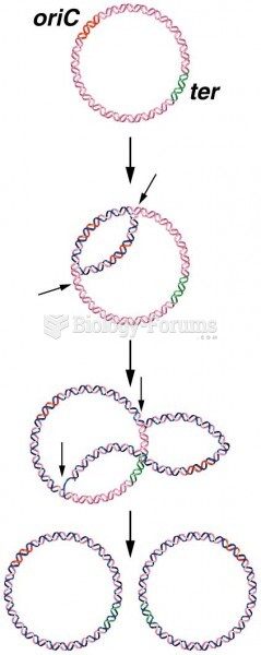 Bidirectional replication of the E. coli chromosome