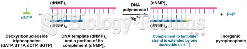 The chemical reaction catalyzed by DNA polymerase I