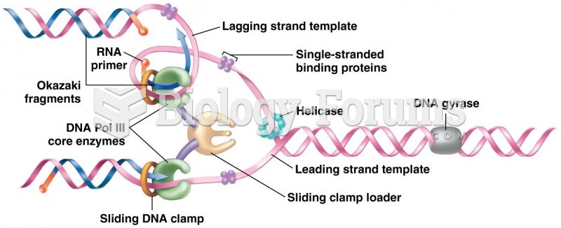 Summary of DNA synthesis at a single replication fork