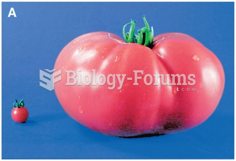 The ancestral and modern-day tomato. (b) Phenotypic effect of the fw2.2 transgene in the tomato