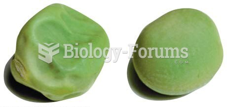 A wrinkled and round garden pea, the phenotypic traits in one of Mendel’s monohybrid crosses