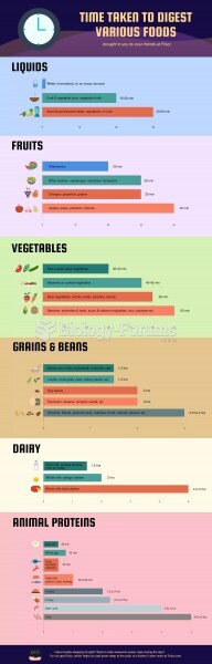 Food Digestion Times