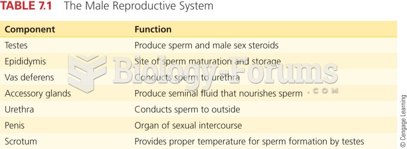 The Male Reproductive System