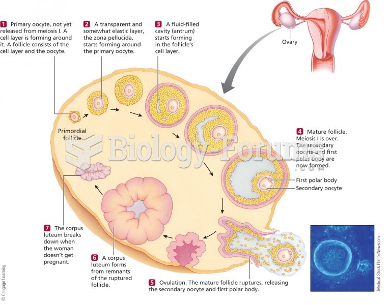 Stages of Oocyte Development