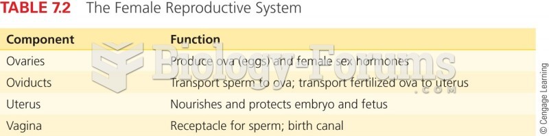 The Female Reproductive System