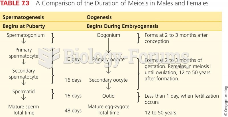 Meiosis in Males and Females