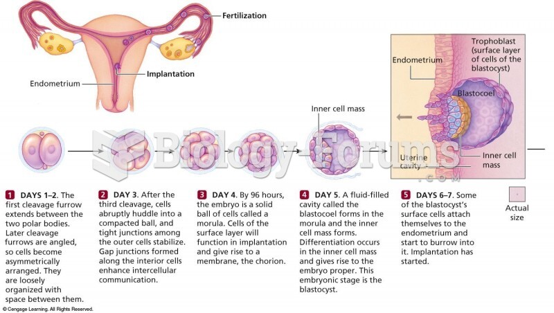 Fertilization to Implantation