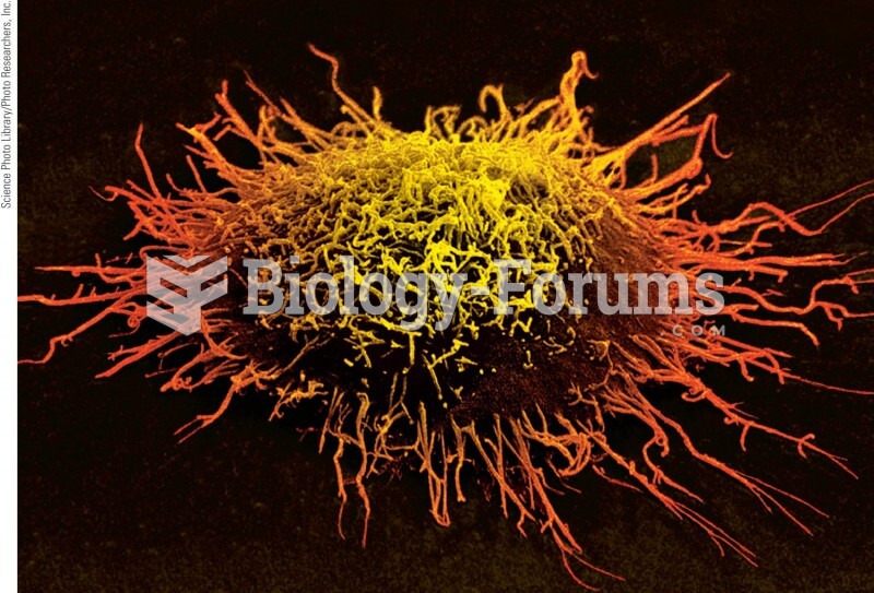 A cervical cancer cell