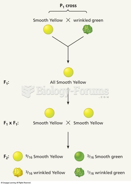 The phenotypic distribution in a cross with two traits: seed color and seed shape. Plants in the F2 