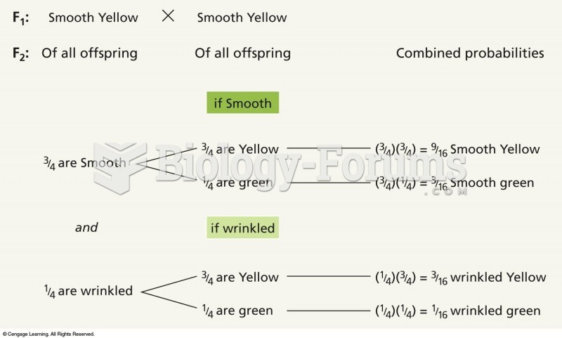 Analysis of a dihybrid cross involving two traits. Each trait is analyzed separately, then the frequ