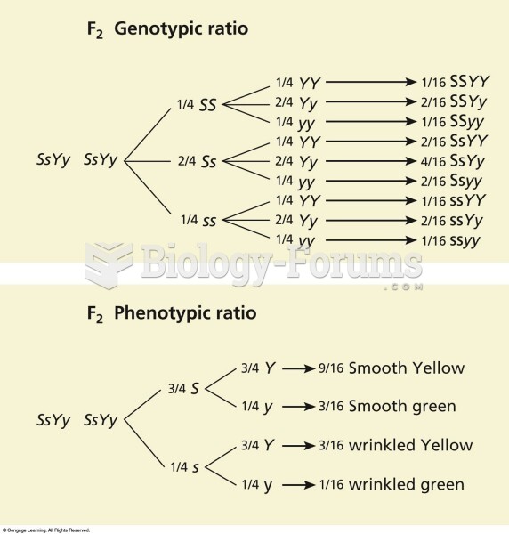 The phenotypic and genotypic ratios of a dihybrid cross can be derived using a branched-line method 