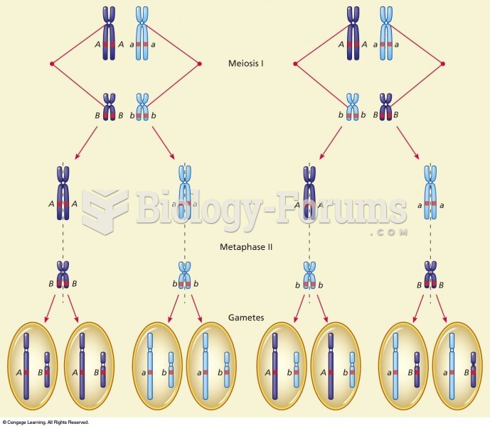 Mendel’s observations about segregation and independent assortment are explained by the behavior ...