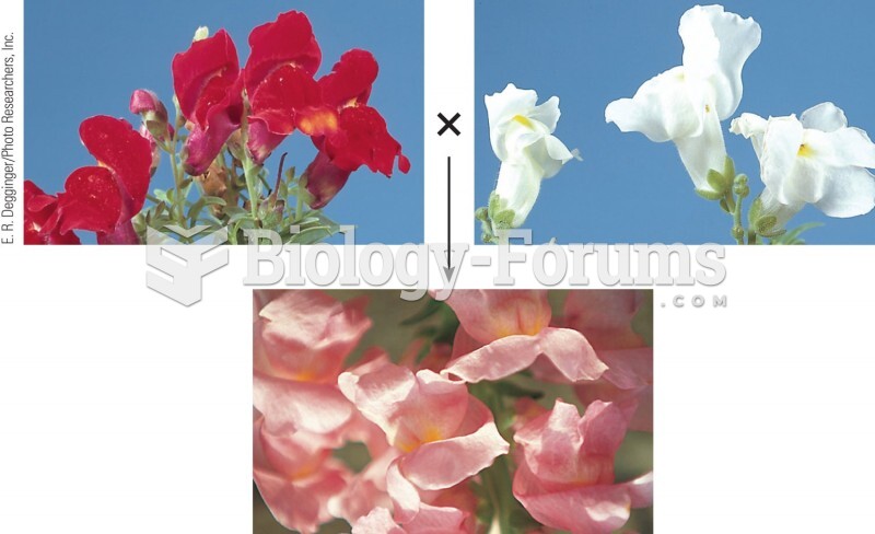Incomplete dominance in snapdragon flower color. Red-flowered snapdragons crossed with white-flowere