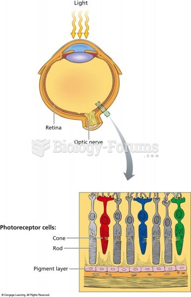 In the retina, there are two types of light receptor cells: Rods are sensitive to differences in lig