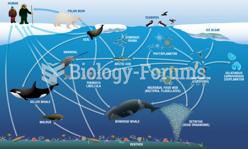 Food Web in Aquatic Biome