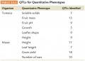 QTLs for Quantitative Phenotypes  Organism