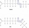 Cis and Trans-Fatty Acids.