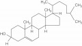 Cholesterol Molecule