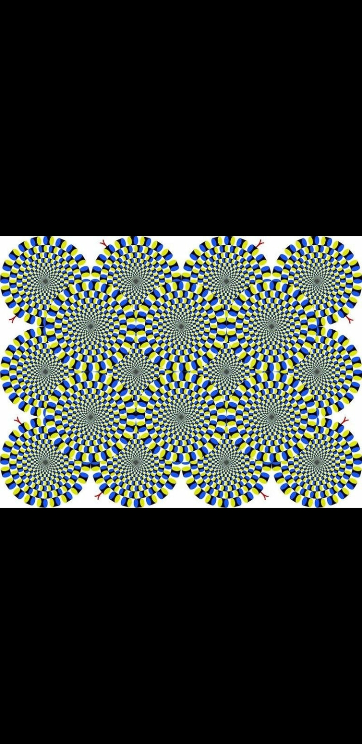 Optical Illusion 