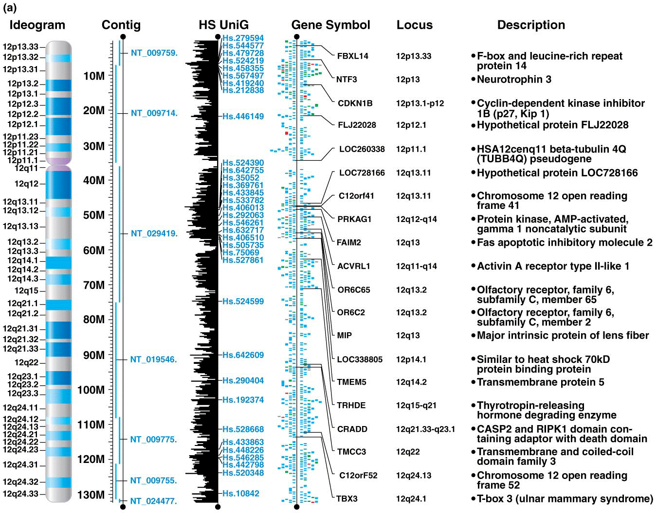 A gene map for chromosome 12 from the NCBI database Map Viewer