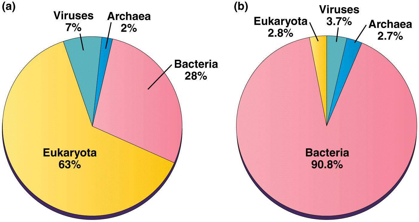 Kingdom identifications for predicted proteins in NCBInr