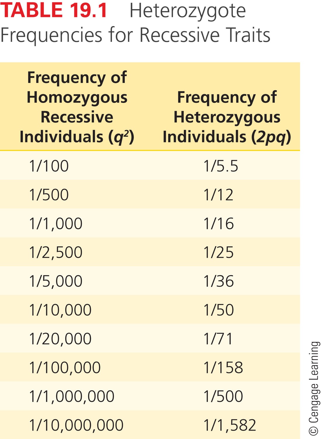 Heterozygote Frequencies for Recessive Traits