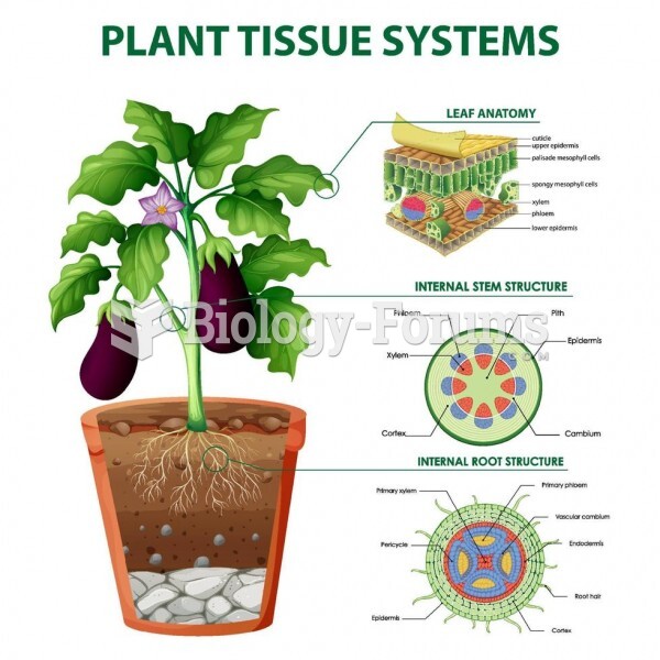 plant tissue systems