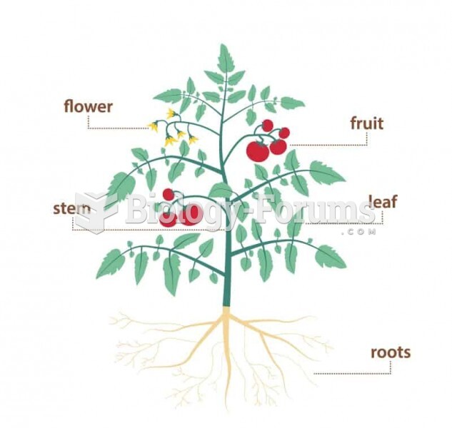 plant diagram
