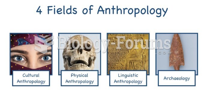fields of anthropology