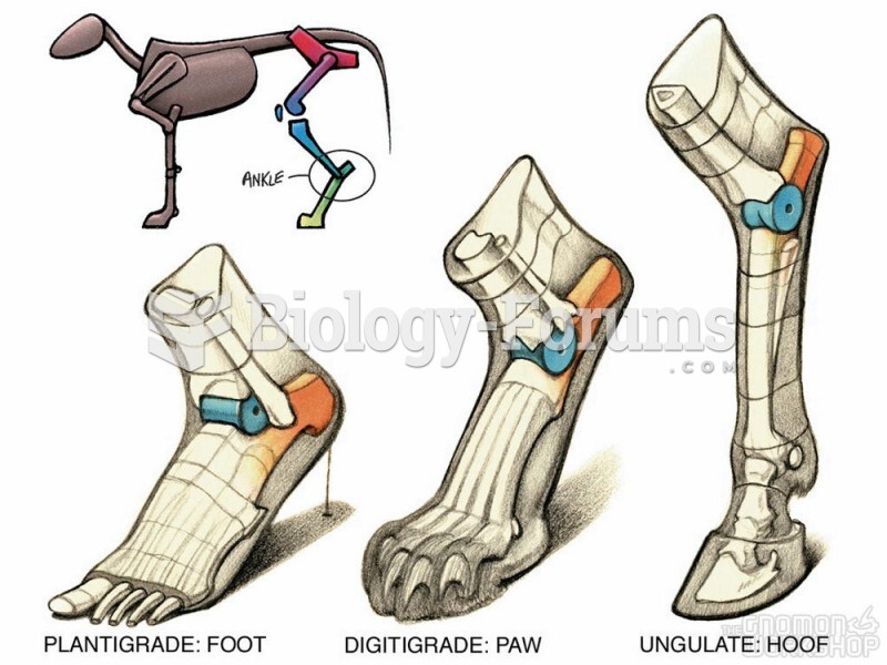 diff feet anatomy