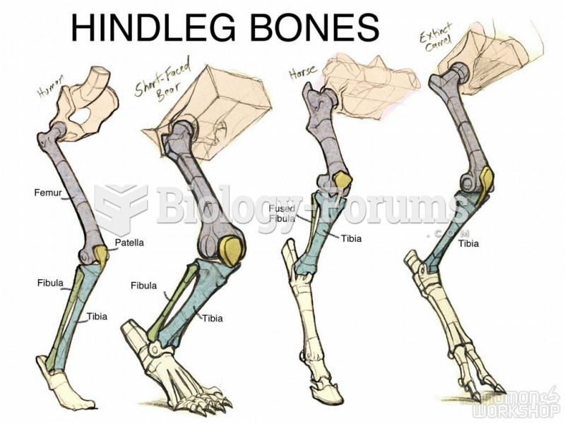 diff hindleg bones