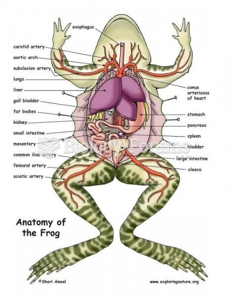 frog internal