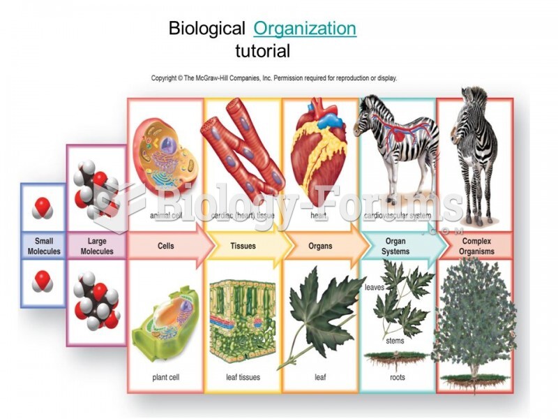 biological organization