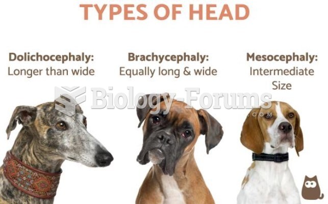 canine heads