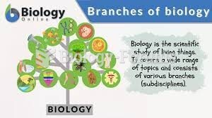 Biology cycle reference