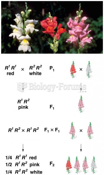 Incomplete dominance shown in the flower color of snapdragons