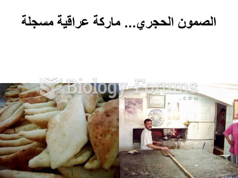 Iraqi Bread