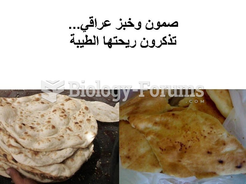 Iraqi Bread