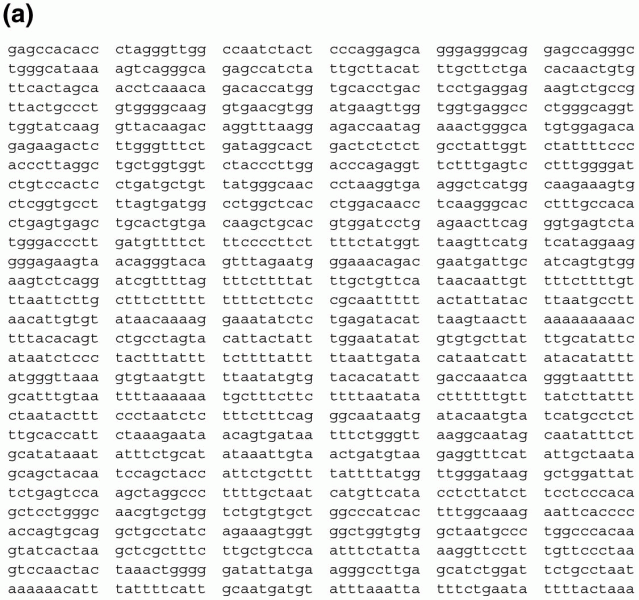 Annotation of a DNA sequence containing part of the human beta globin gene
