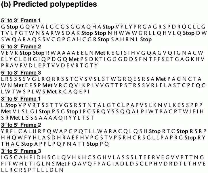Predicted polypeptide sequences translated from potential ORFs in the human TUBA3C gene