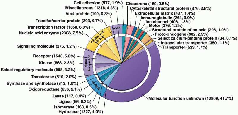 Functional categories of human genes