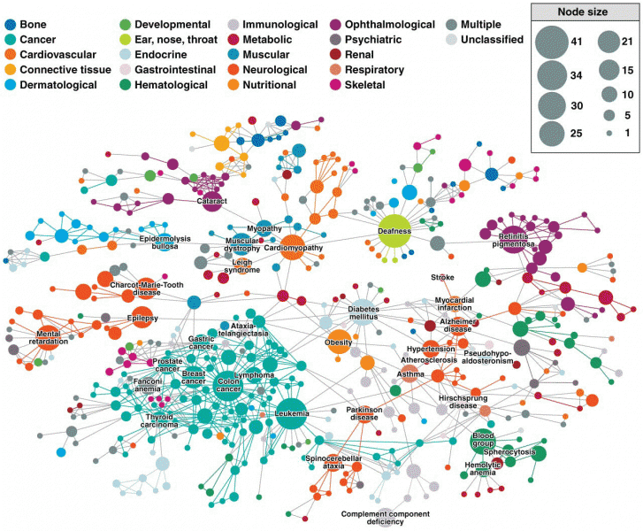 A systems biology model of human disease gene interactions