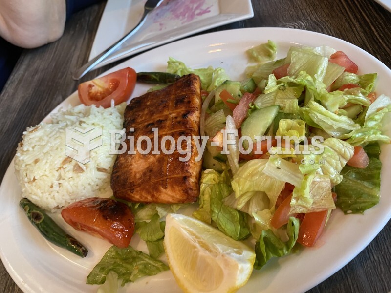Salmon with rice and salad