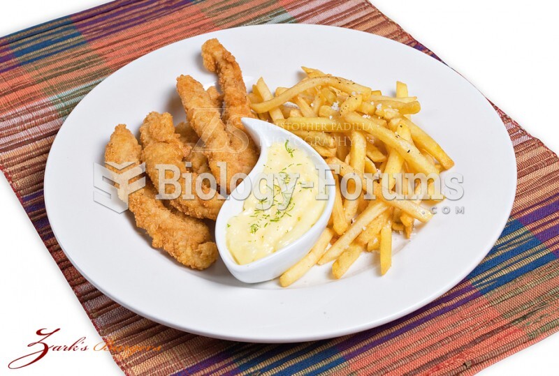 Fish and Chips or Fries