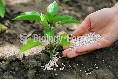 Plant Fertilization