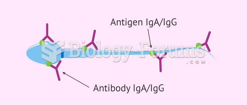 Do antisperm antibodies cause DNA fragmentation?