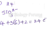 What is the total number of valence electrons in a silicate ion, SiO32-?