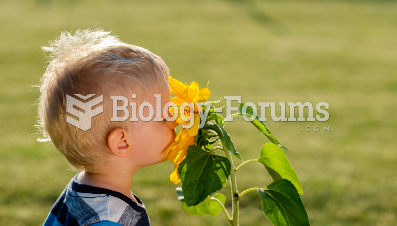 Boy Smelling a Yellow Flower