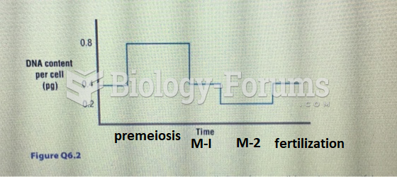 Stages of premeiosis