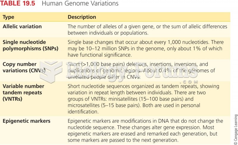 Human Genome Variation